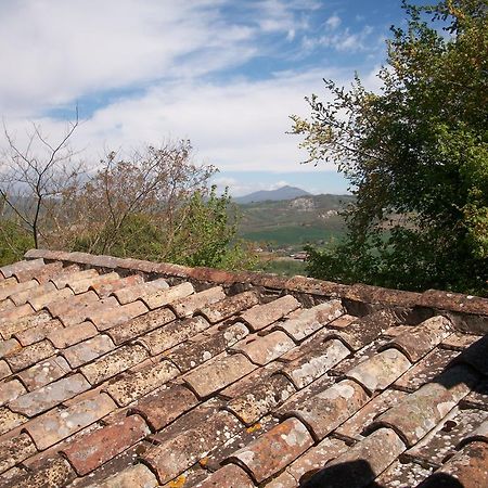 ProcenoAgriturismo Poggio Porsenna - Con Piscina别墅 外观 照片