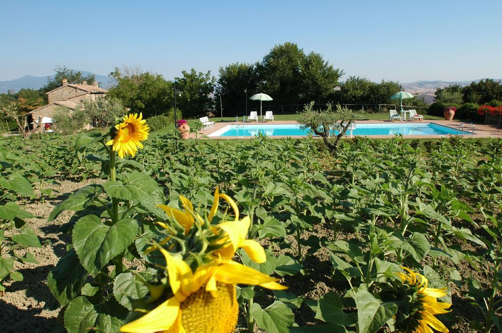 ProcenoAgriturismo Poggio Porsenna - Con Piscina别墅 外观 照片