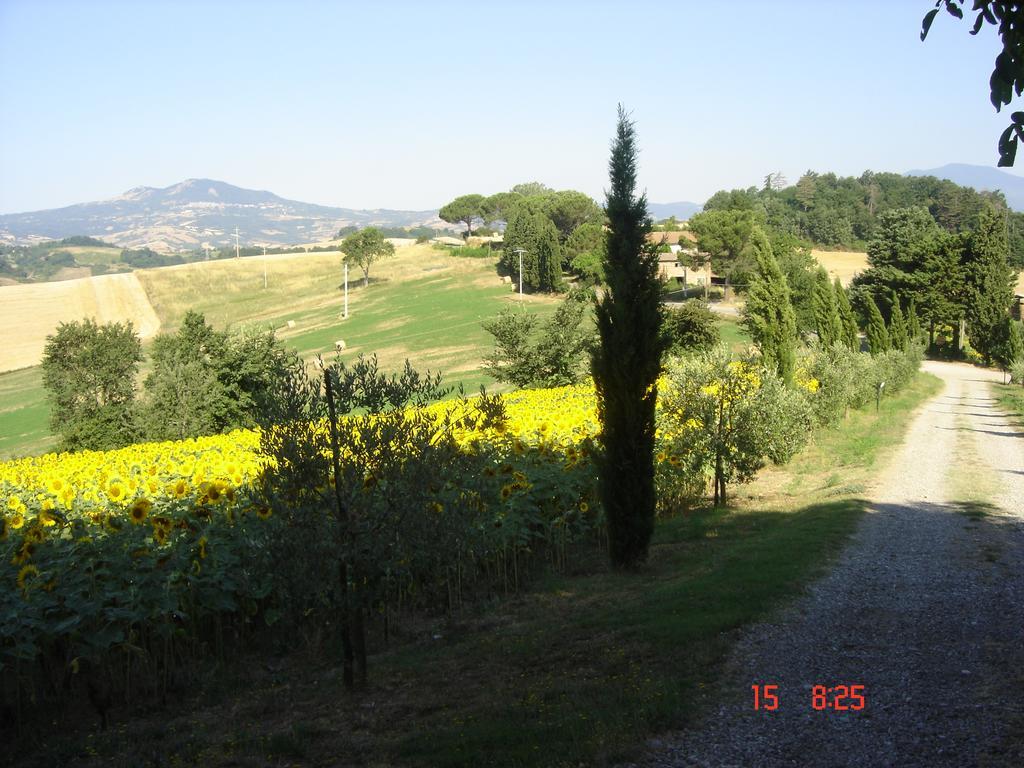 ProcenoAgriturismo Poggio Porsenna - Con Piscina别墅 外观 照片