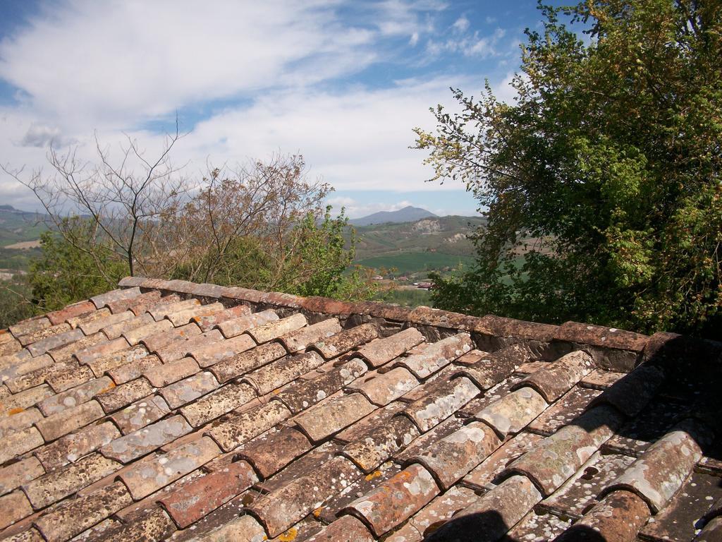 ProcenoAgriturismo Poggio Porsenna - Con Piscina别墅 外观 照片